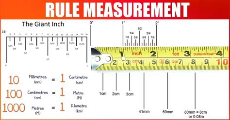 râler definition|types of ruler.